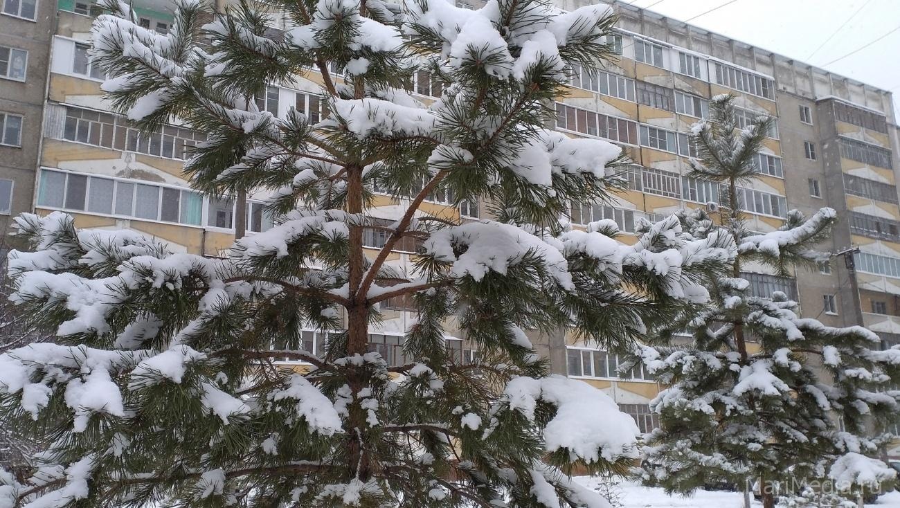 Синоптики пообещали среднестатистическую зиму