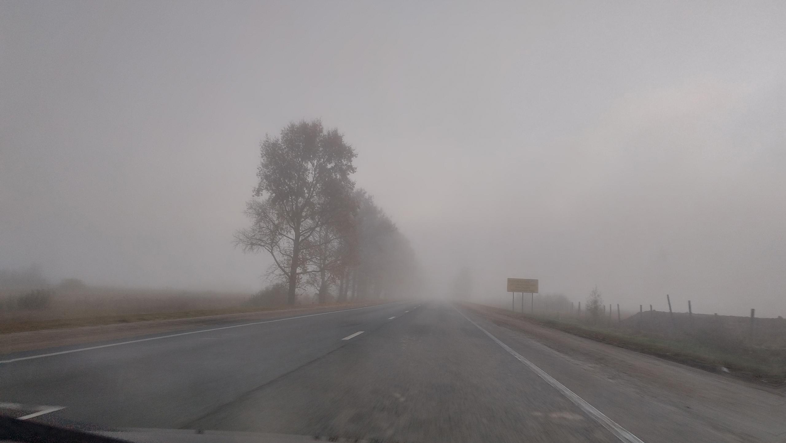 Водителей Марий Эл предупредили об ухудшении видимости на дорогах из-за тумана