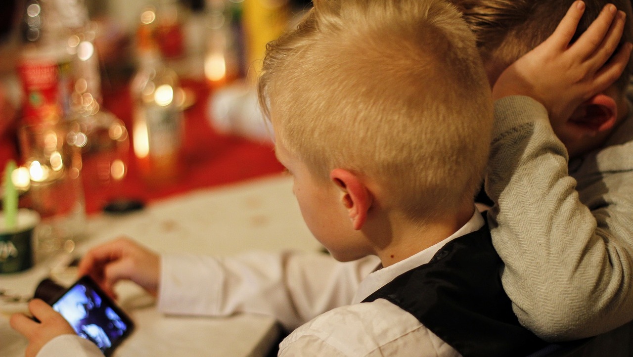 В Марий Эл появился «Навигатор дополнительного образования»