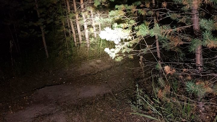 В лесу за посёлком Сурок два дня искали заблудившегося мужчину