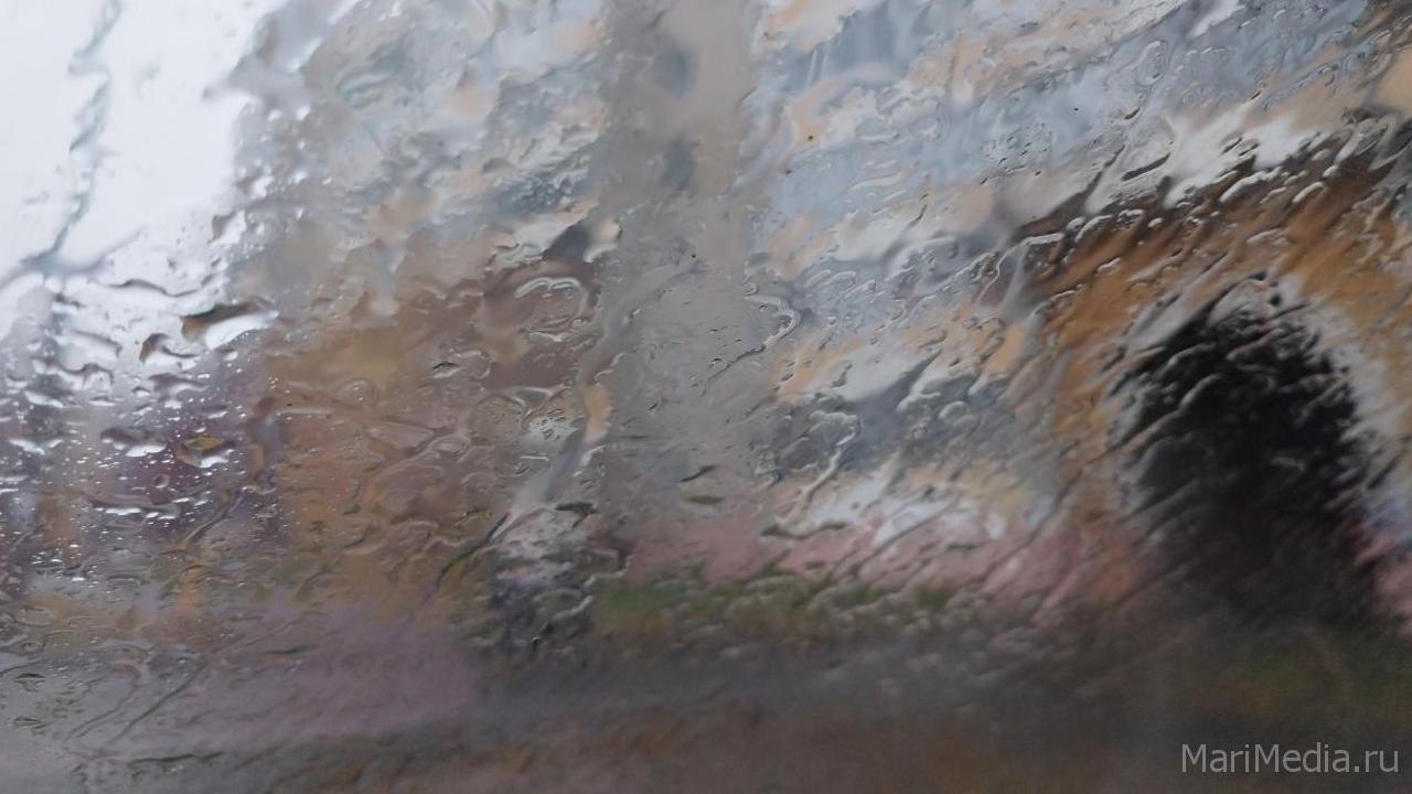 В Марий Эл идут дожди и мокрый снег