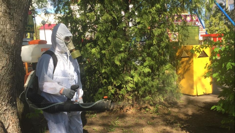 Парк культуры и отдыха в Йошкар-Оле обработали от насекомых и грызунов