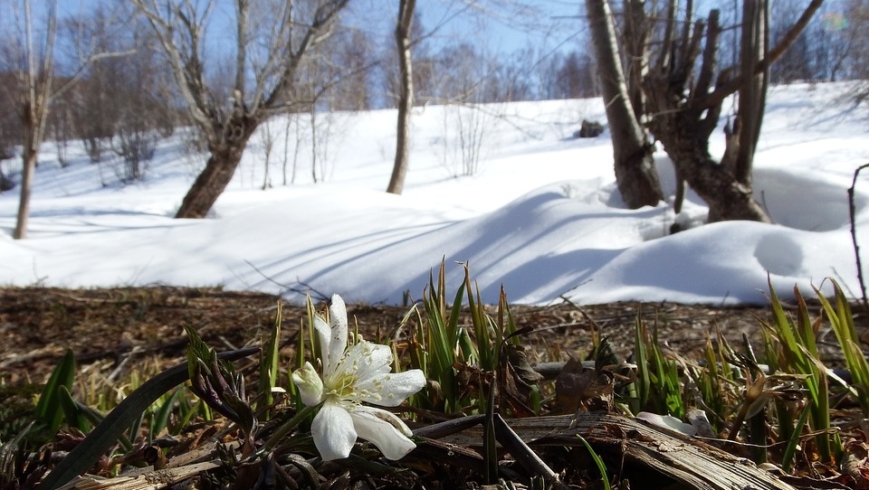 1 марта в Марий Эл будет тепло и снежно
