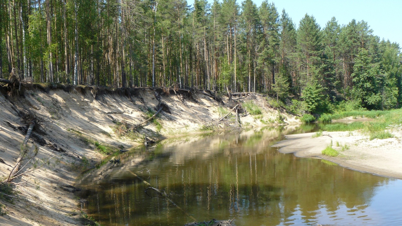В лесах Марий Эл объявлена чрезвычайная пожароопасность