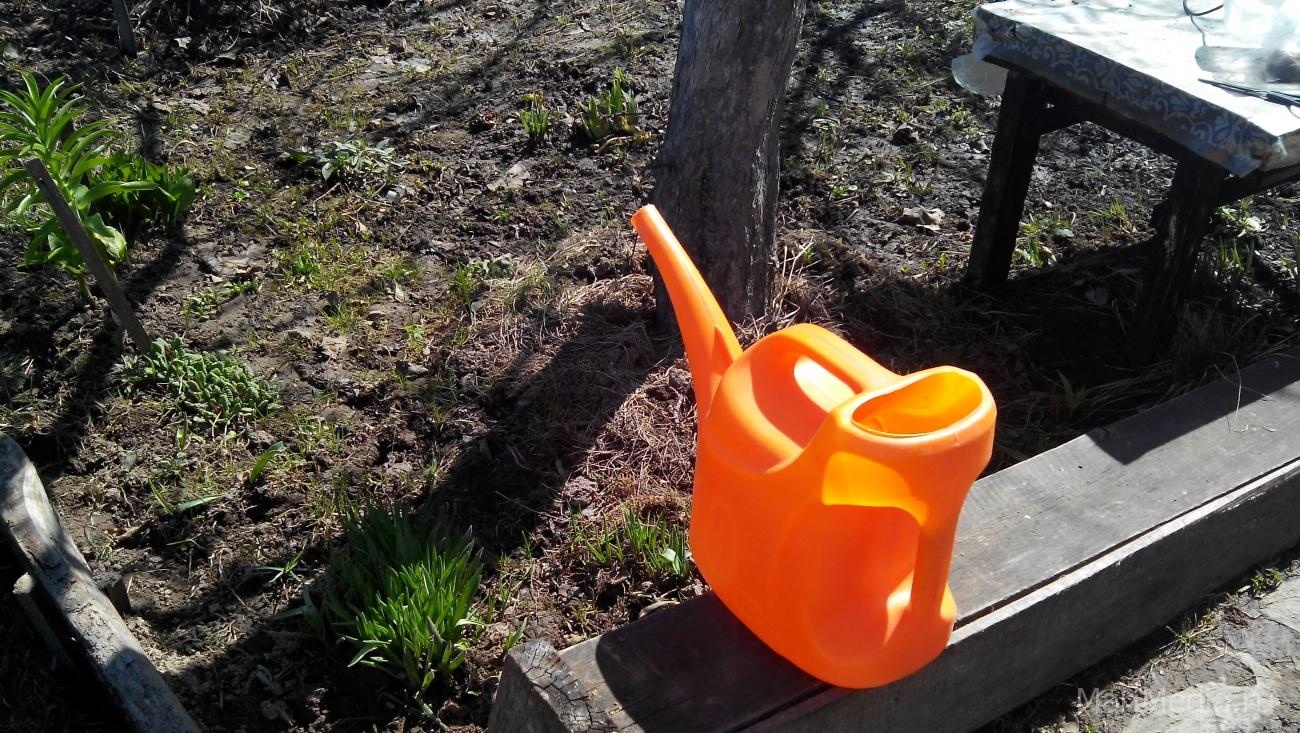 «Дачную амнистию» продлили до 1 марта 2021 года