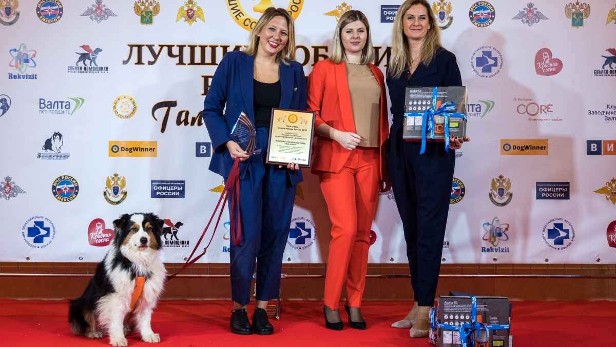 Четвероногие подопечные «ЛизаАлерт» в числе победителей «Лучшие собаки России»