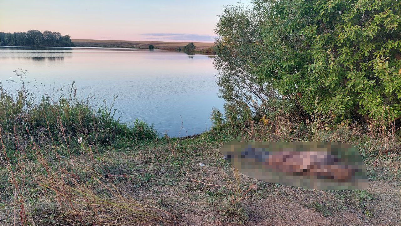 Следователям Марий Эл предстоит выяснить обстоятельства гибели рыбака