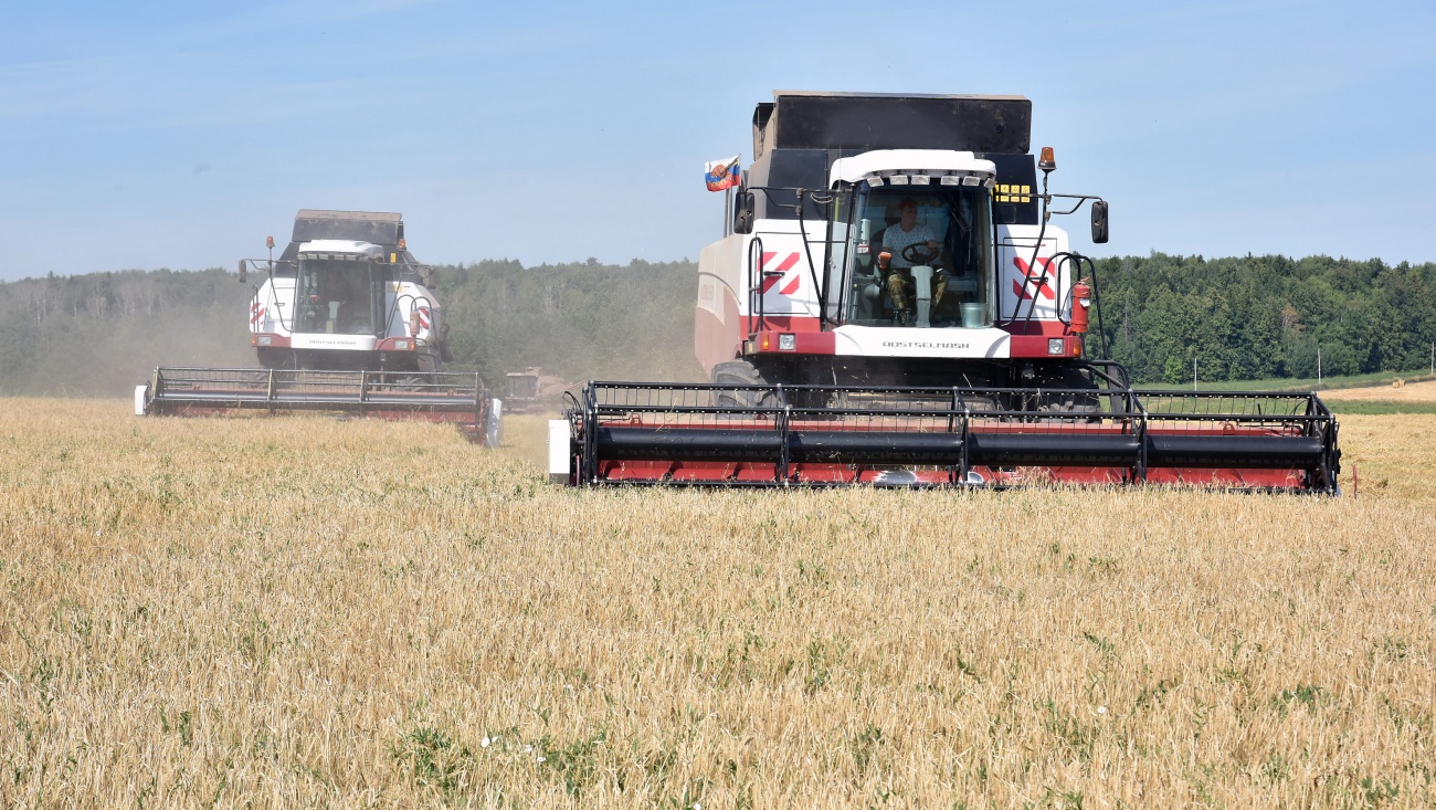 В сельхозкооперативах Марий Эл летом работники за сутки зарабатывают до 6 тысяч рублей