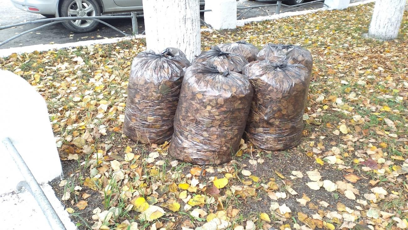 15 октября в Йошкар-Оле пройдёт общегородской субботник