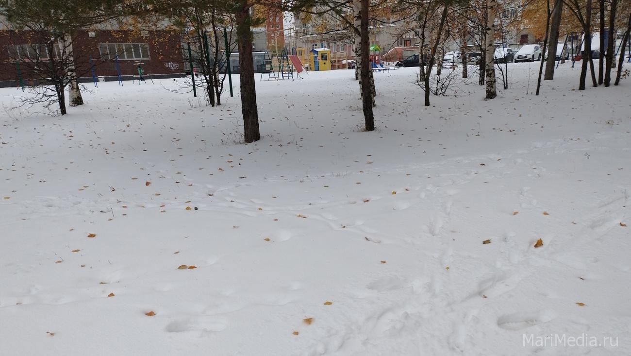 В Марий Эл высота снежного покрова составила 9-14 см