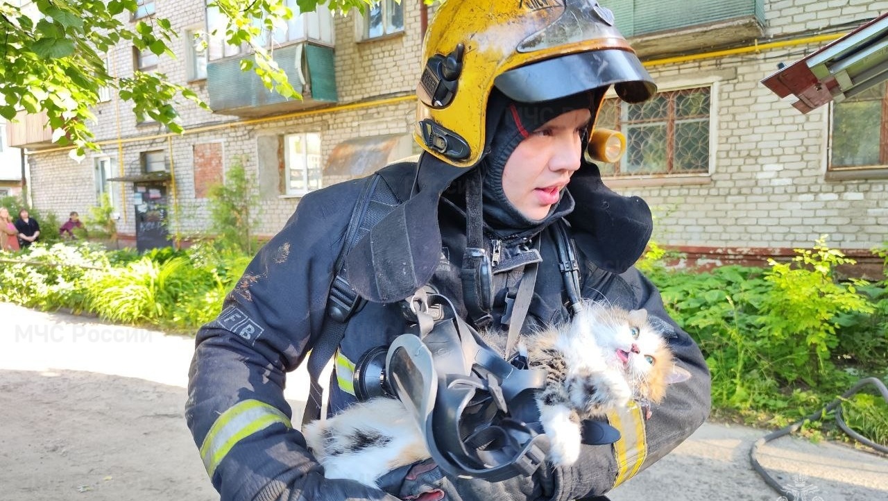 Огнеборцы Йошкар-Олы на пожаре спасли маленькую жизнь