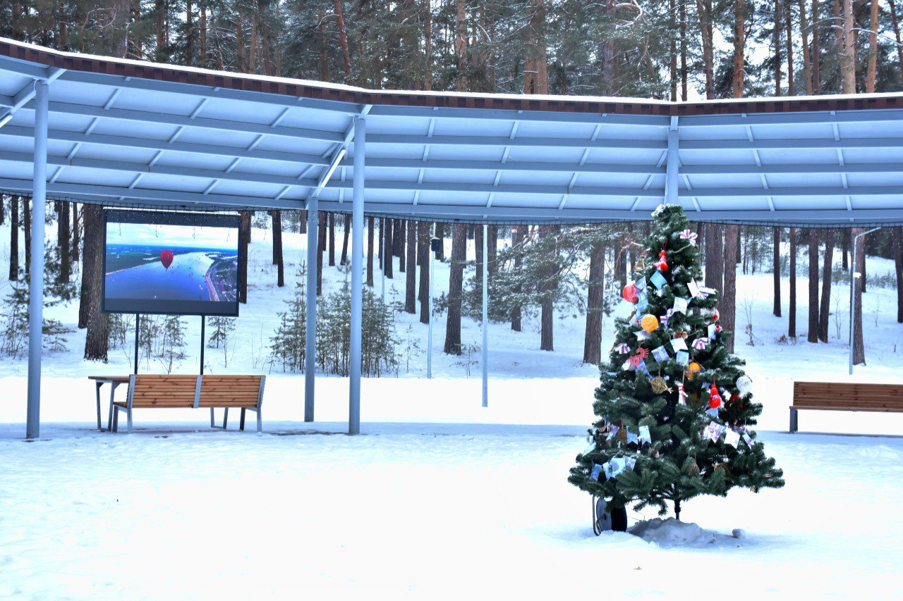 Жителей Марий Эл просят проголосовать за звениговскую ёлку «Провой шӱм»