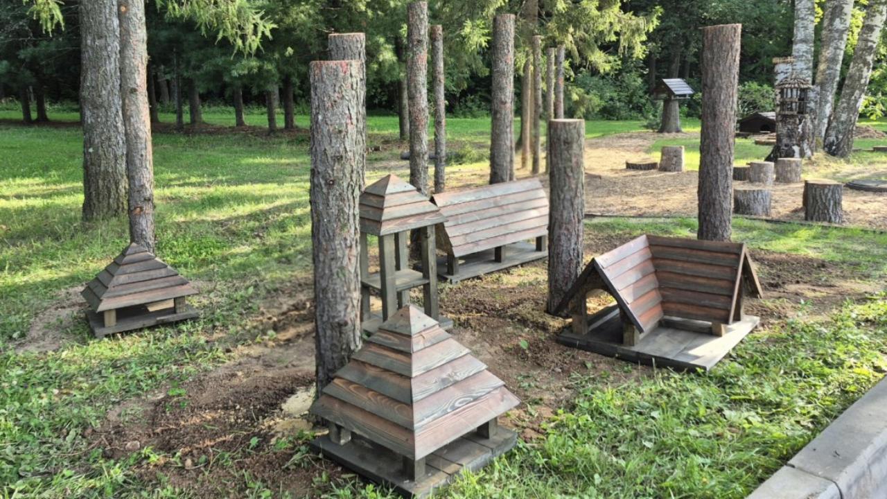 В Йошкар-Оле создают класс под открытым небом с птичьей столовой
