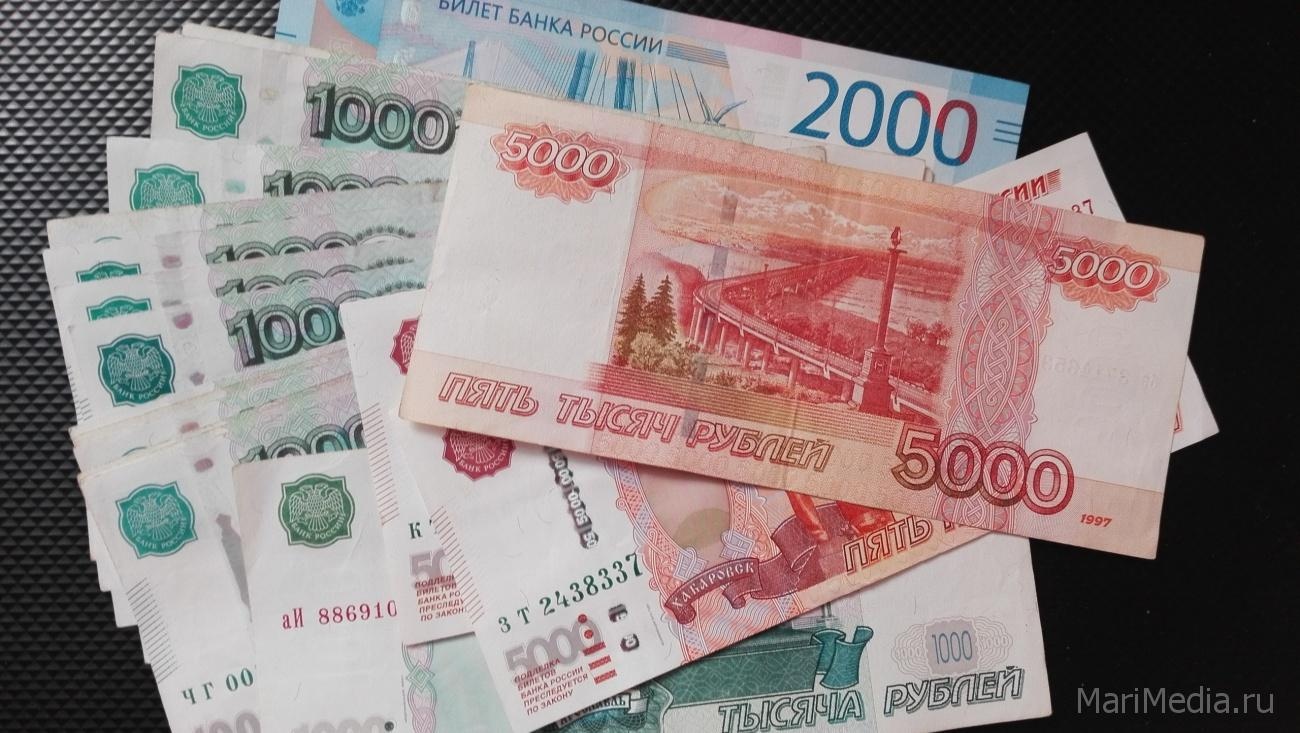 В Марий Эл образовалась задолженность по зарплате перед бюджетниками