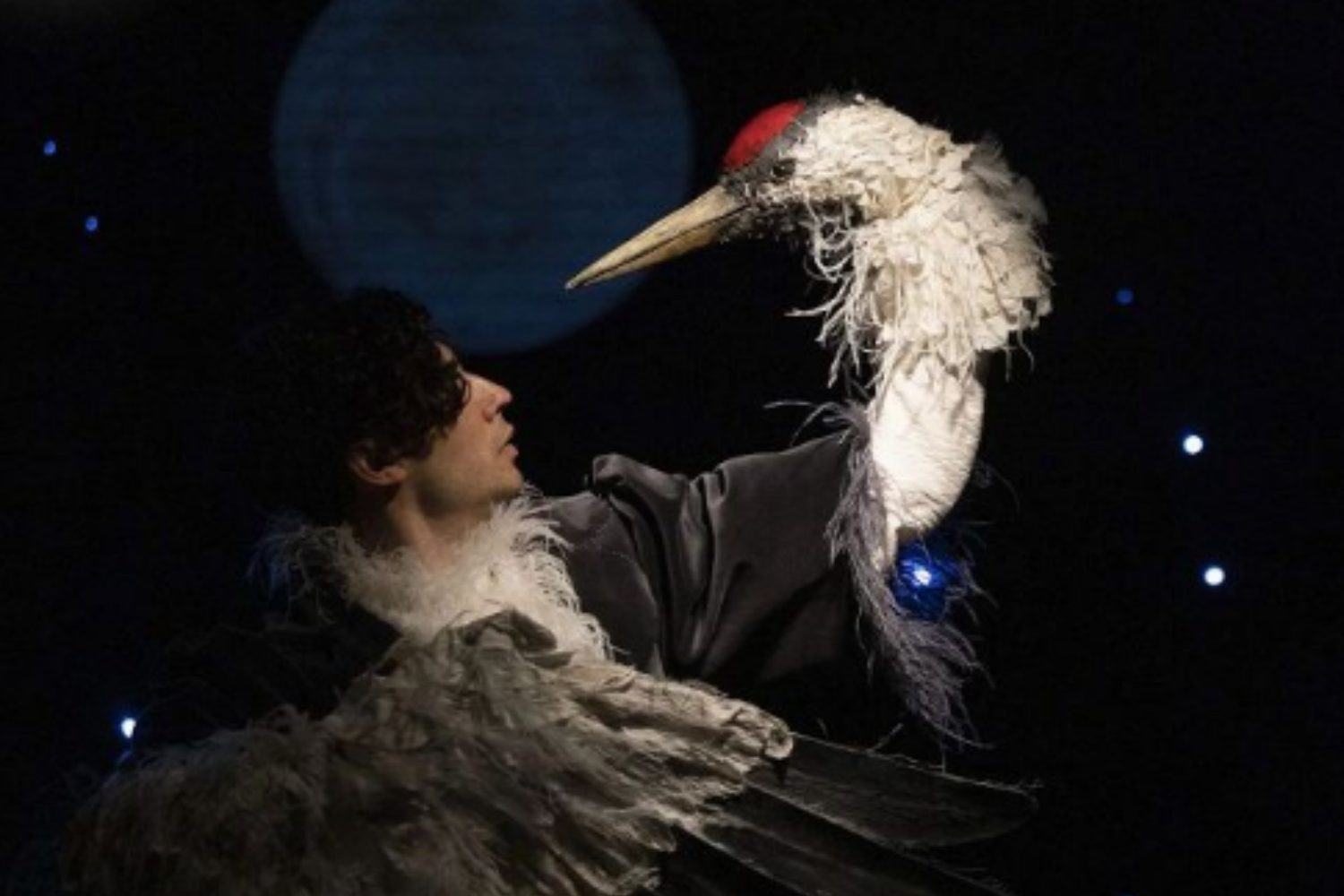 Журавль и цапля 