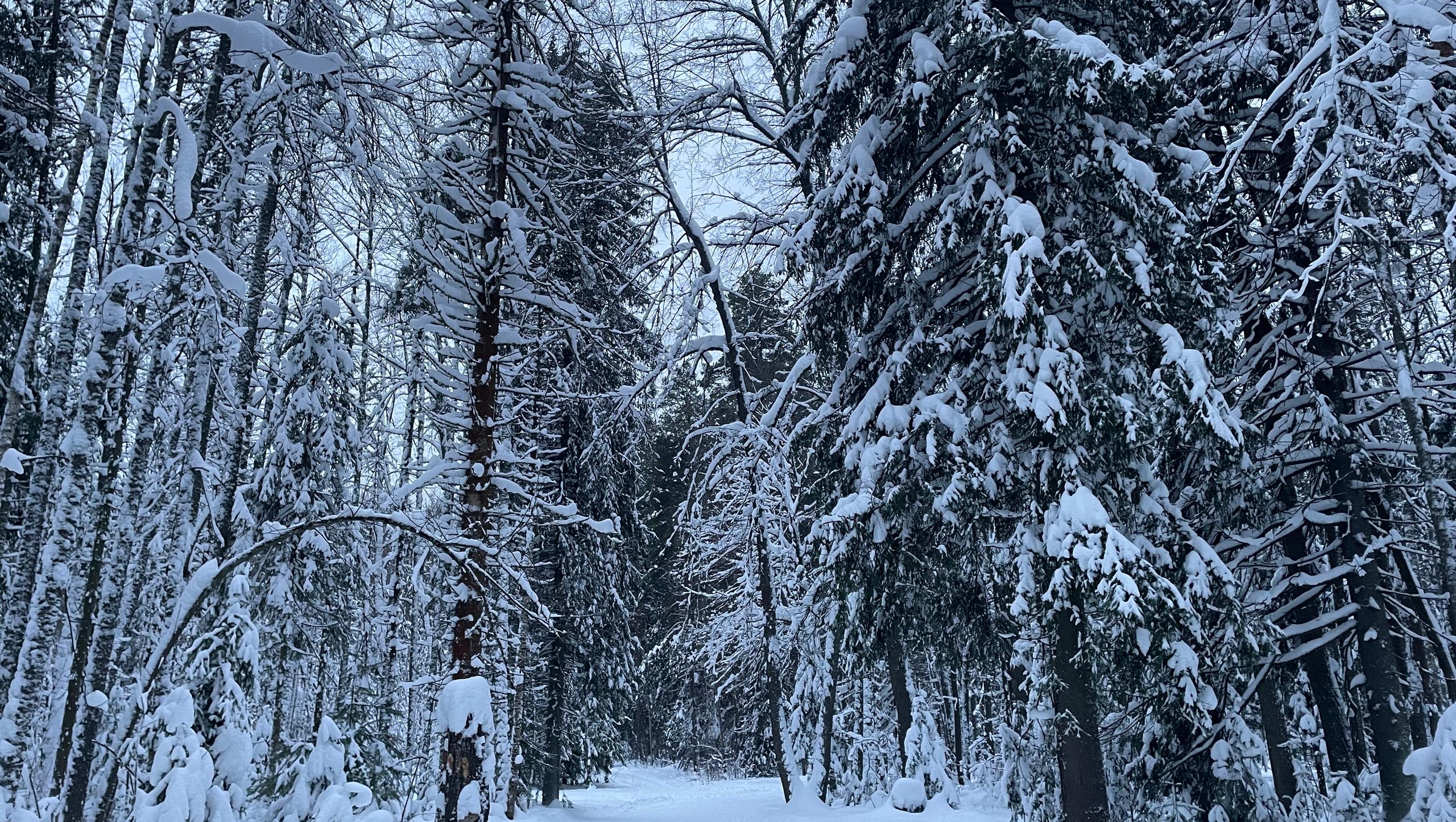 Марий Эл в ближайшие дни ждёт суровая погода 