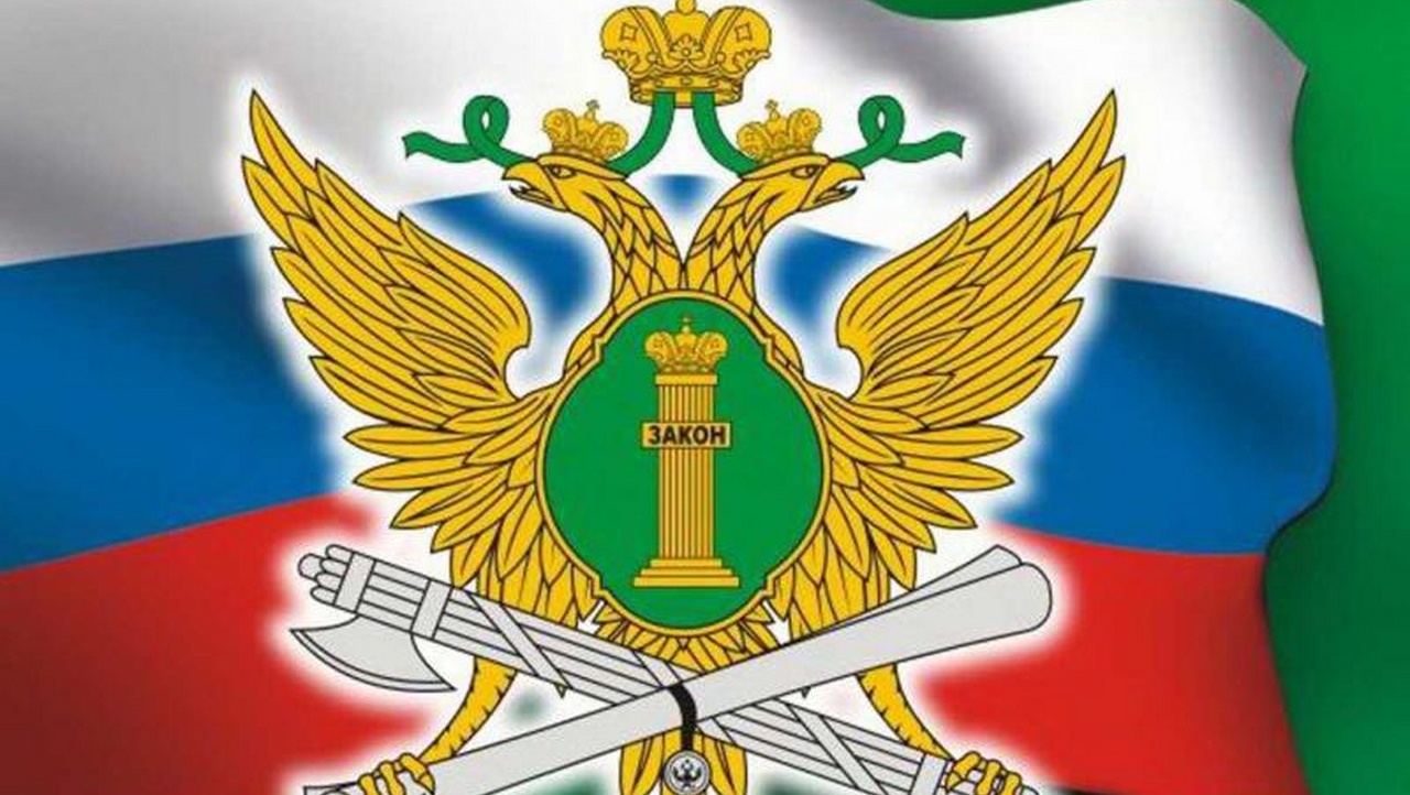 Жители Марий Эл смогут задать вопросы о поступлении на службу в УФССП республики