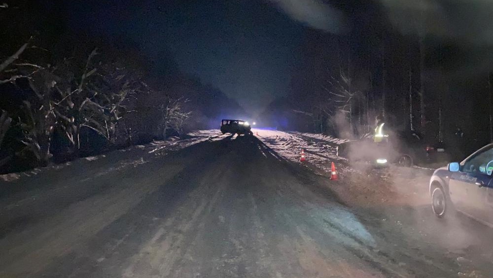В Звениговском районе произошло массовое ДТП