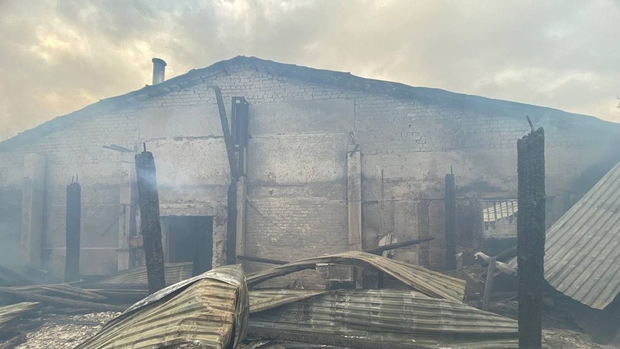 В Килемарском районе в Марий Эл на пожаре сгорели около 40 тысяч кур