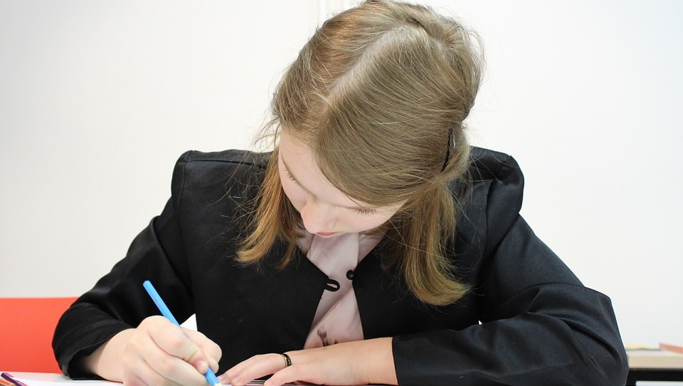 Выпускники Марий Эл до 1 февраля должны успеть подать заявление на участие в ЕГЭ