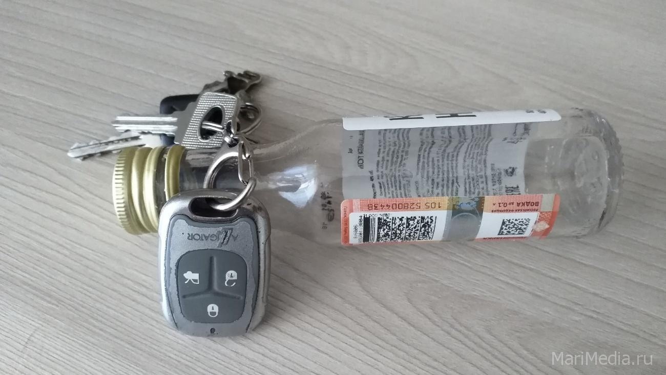 Сегодня ночью в Марий Эл задержали 6 пьяных водителей