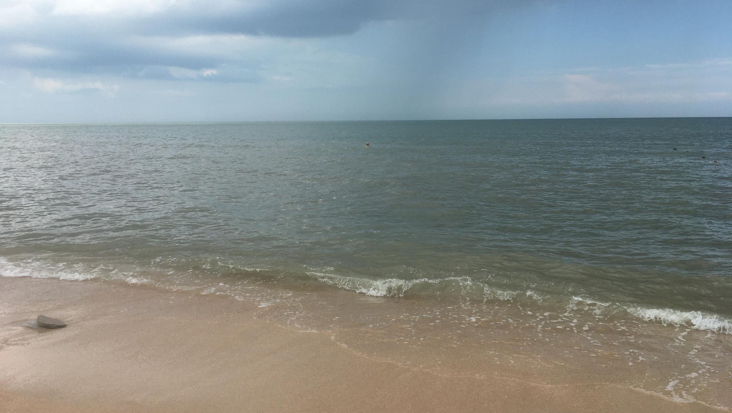 Расчищенные от мазута пляжи Анапы планируют открыть к 1 июня