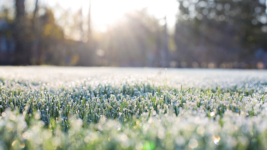 Спасательное ведомство Марий Эл предупреждает о заморозках