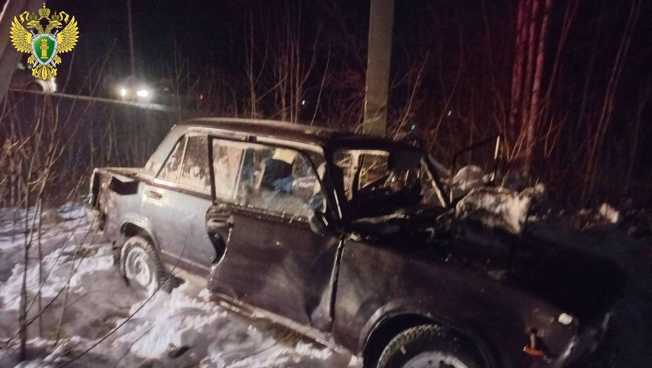 В Марий Эл будут судить 17-летнюю девушку, устроившую смертельное ДТП