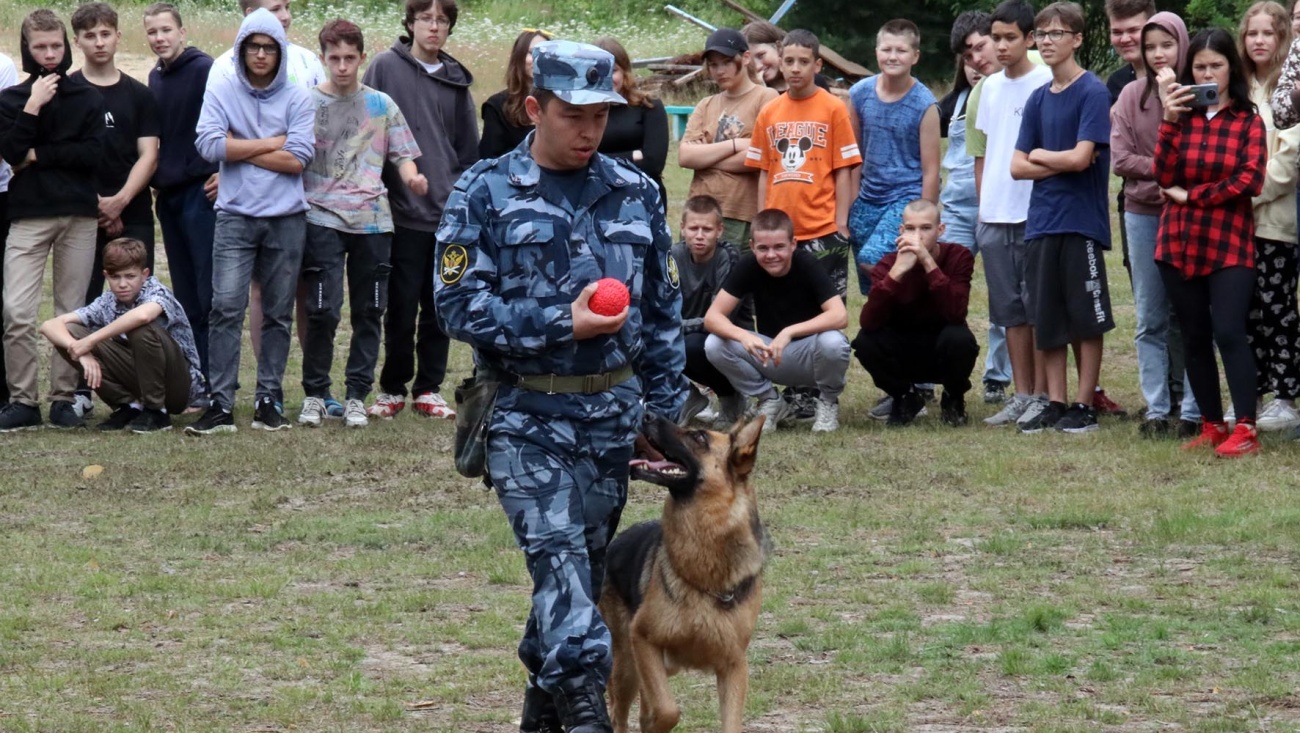 В детский лагерь на озере Таир привезли щенков