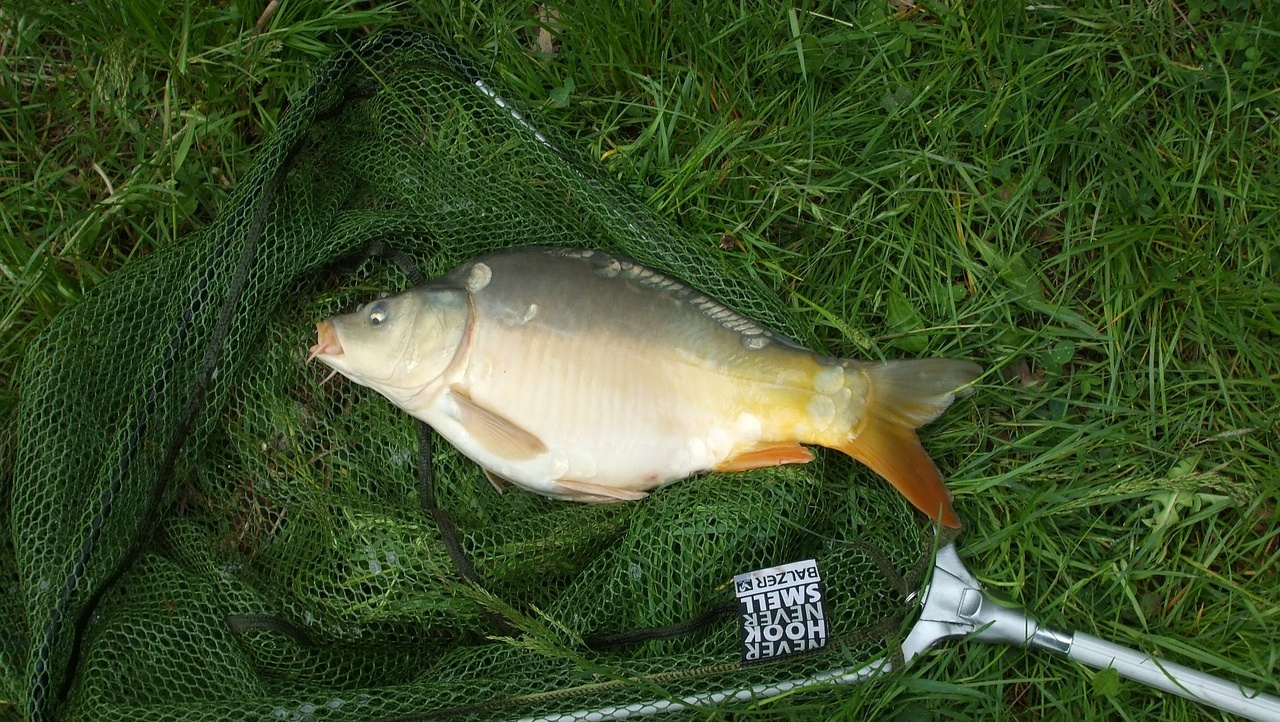 В Волжске поймали двух 71-летних браконьеров