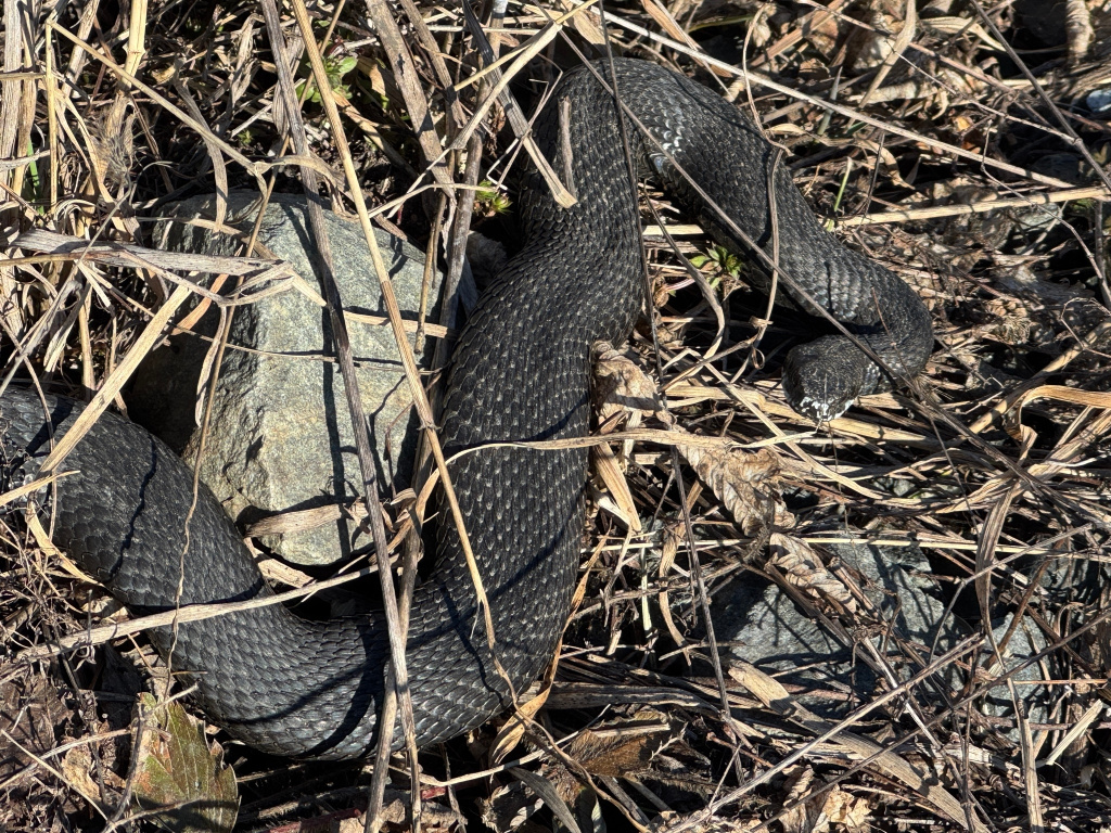 v9EBFD12_3fs08FEFwRBpbD2_LdDjqNn7aFI7gRdDNnGqVyFdxTTMl5J8BBhPVnElwNmnqgvvDRB9GDkPWlkKNUD.jpg v9EBFD12_3fs08FEFwRBpbD2_LdDjqNn7aFI7gRdDNnGqVyFdxTTMl5J8BBhPVnElwNmnqgvvDRB9GDkPWlkKNUD.jpg