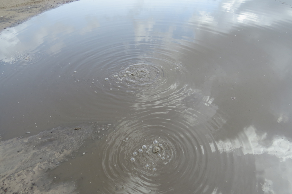 5UzeQwOMglQNA5YBzwFb0_9IfrXArouOe_eaRAHZQI1ehbVOAXYnOWiL7E0majAcndB0jJp7gwCQ92rF1ucKJAuJ.jpg 5UzeQwOMglQNA5YBzwFb0_9IfrXArouOe_eaRAHZQI1ehbVOAXYnOWiL7E0majAcndB0jJp7gwCQ92rF1ucKJAuJ.jpg